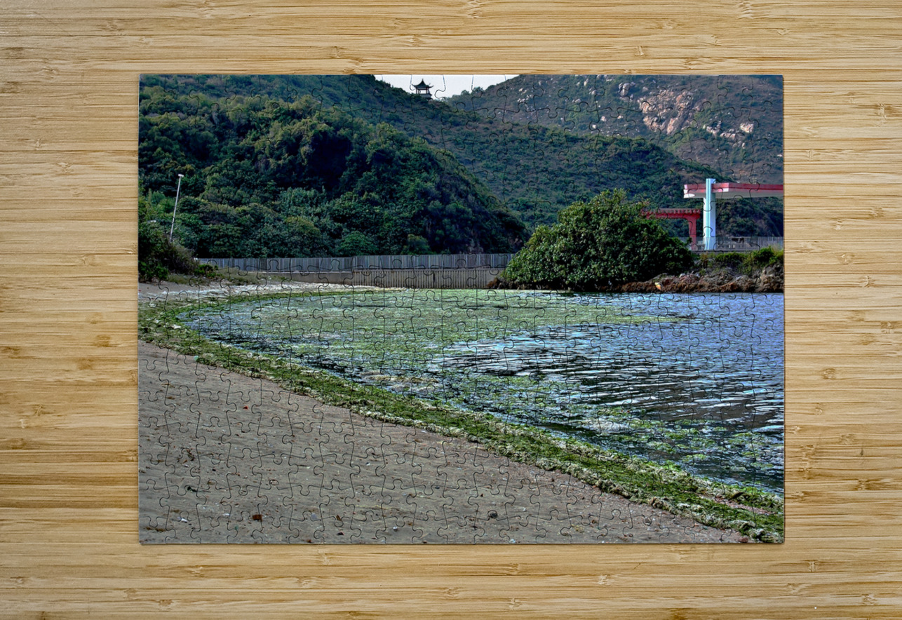 HK-FV-The Seaweed along the seaside at Cheung Chau 02 Clement Tsang Puzzle printing