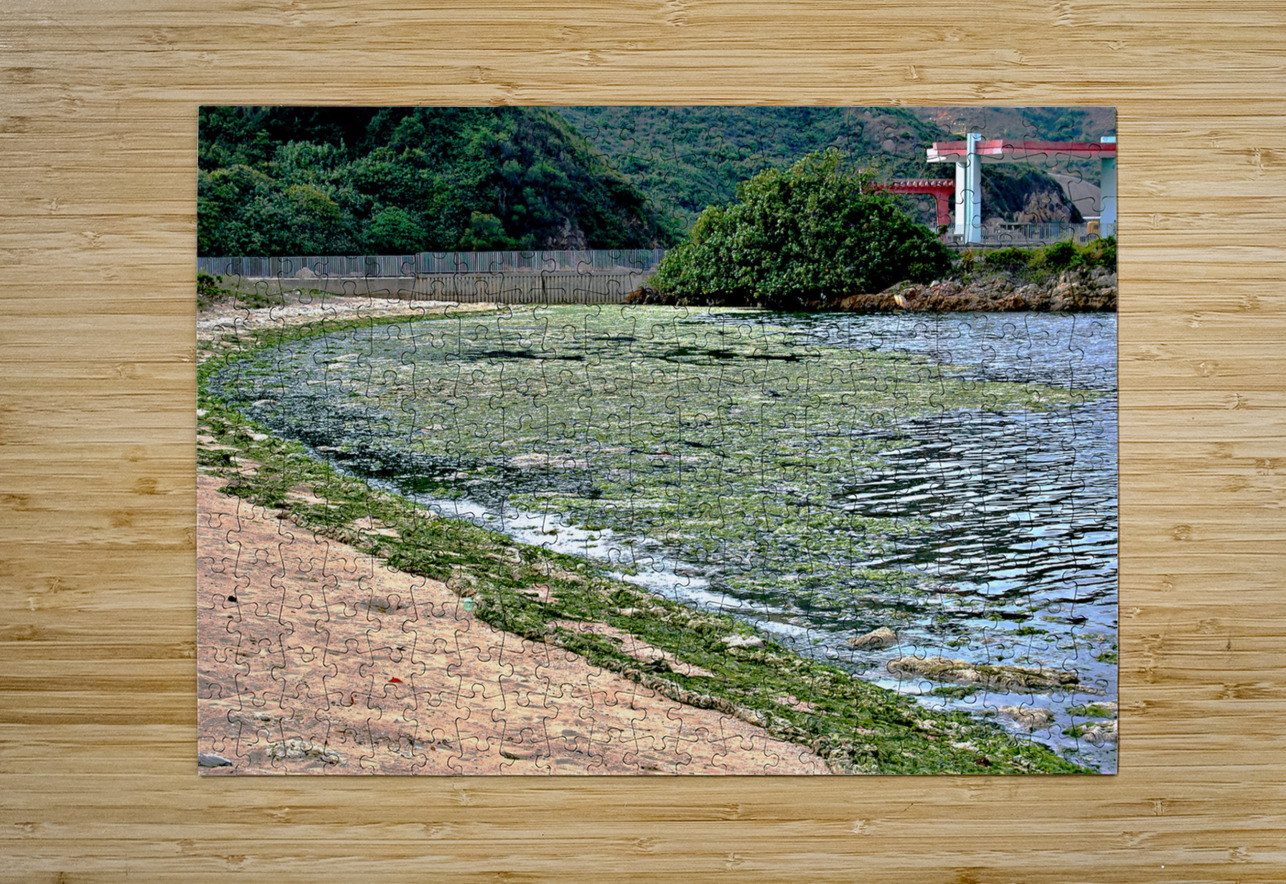 HK-FV-The Seaweed along the seaside at Cheung Chau 01 Clement Tsang Puzzle printing