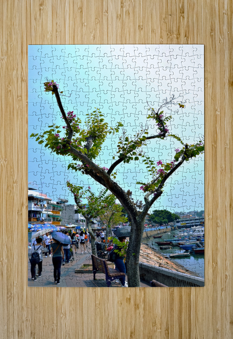 HK-VL - The Village and Landscape Clement Tsang Puzzle printing