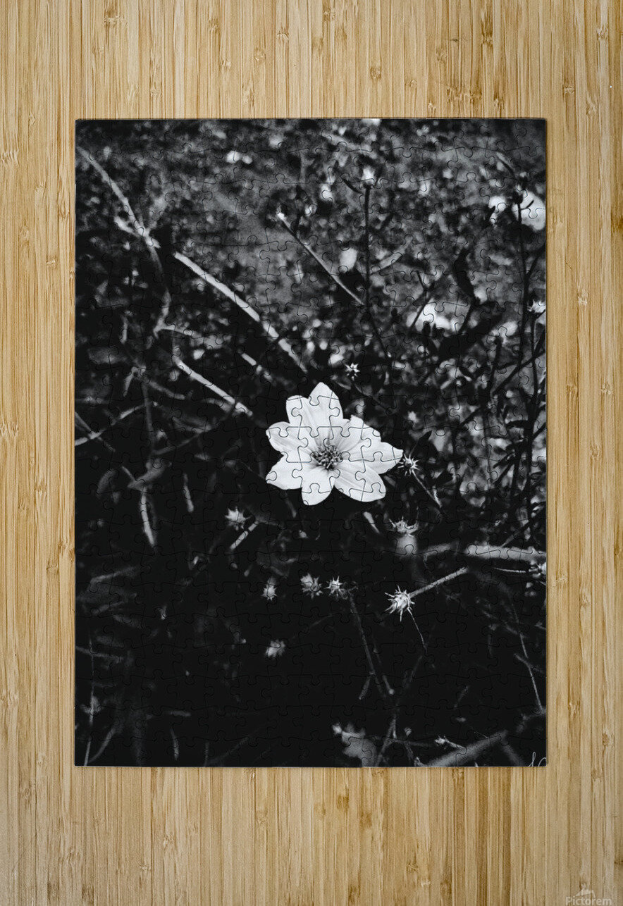 Burst Ell Cee Puzzle printing