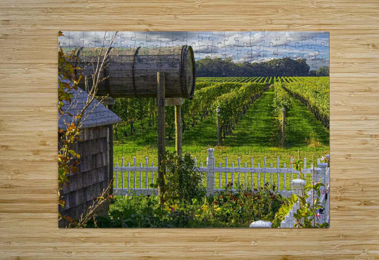 Vineyard View RJLaBellaPhotos Puzzle printing