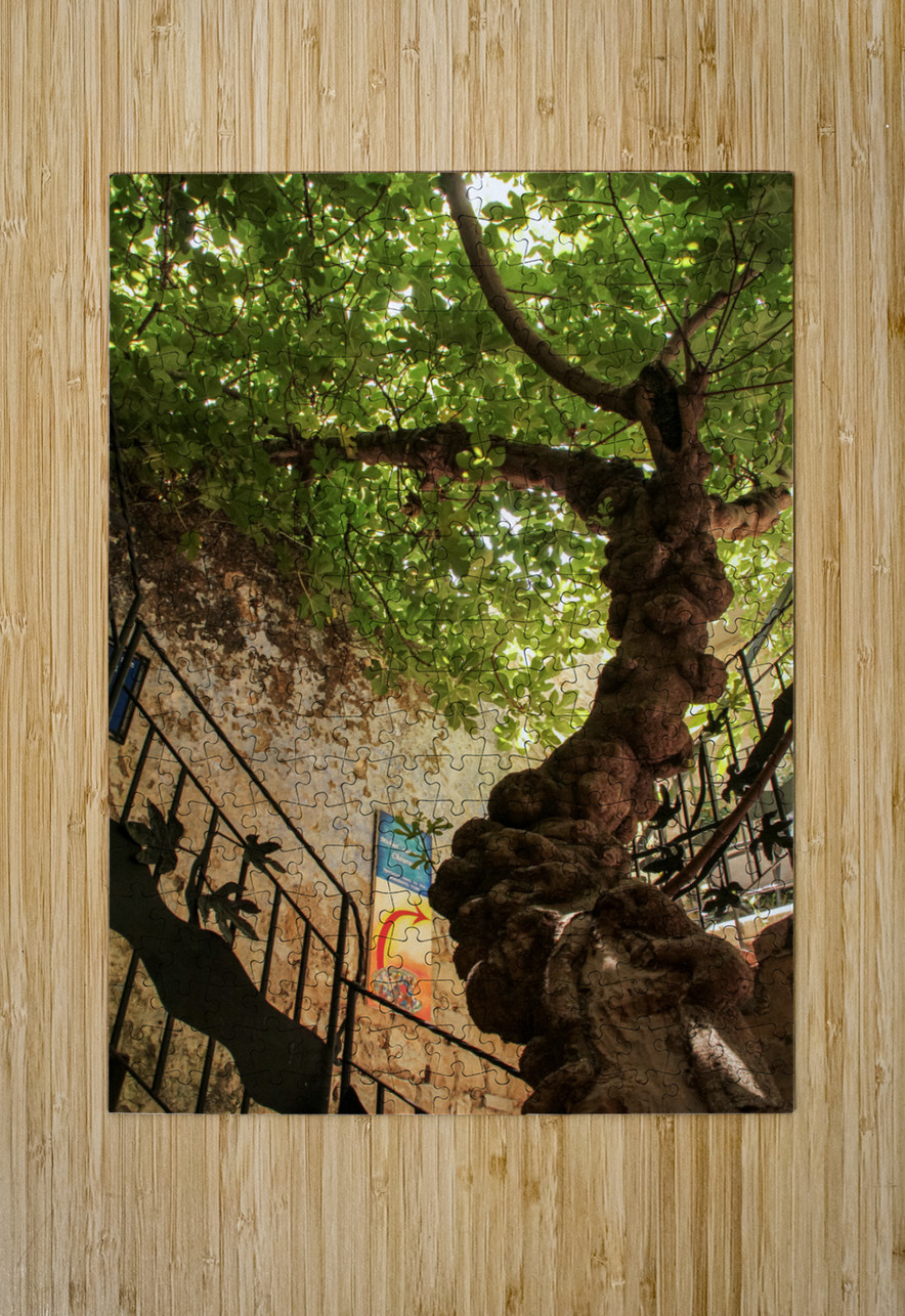 IMG 4279 YoelKoskasFineArt Puzzle printing