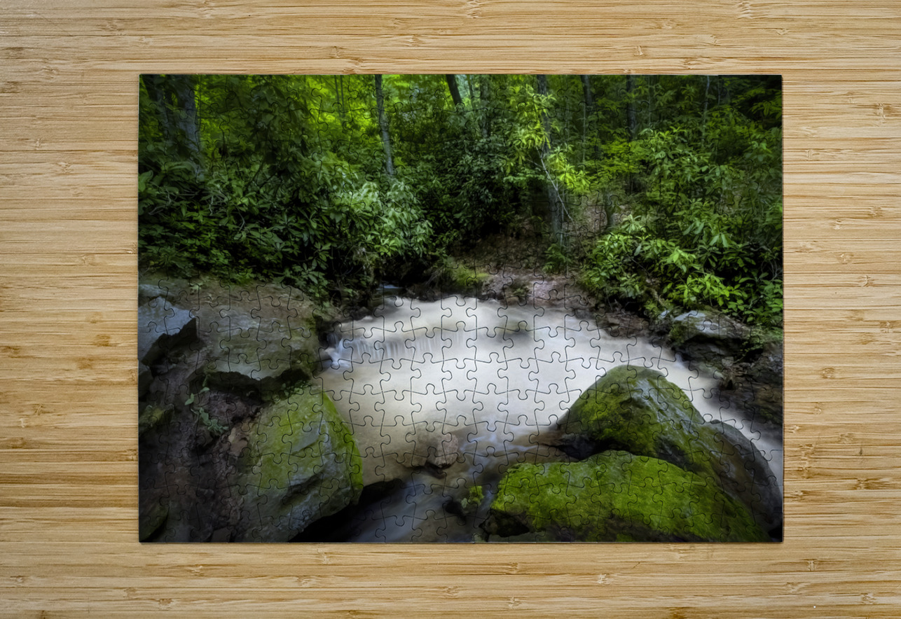 Cascade in the Mountains Shelia Hunt Photography Puzzle printing