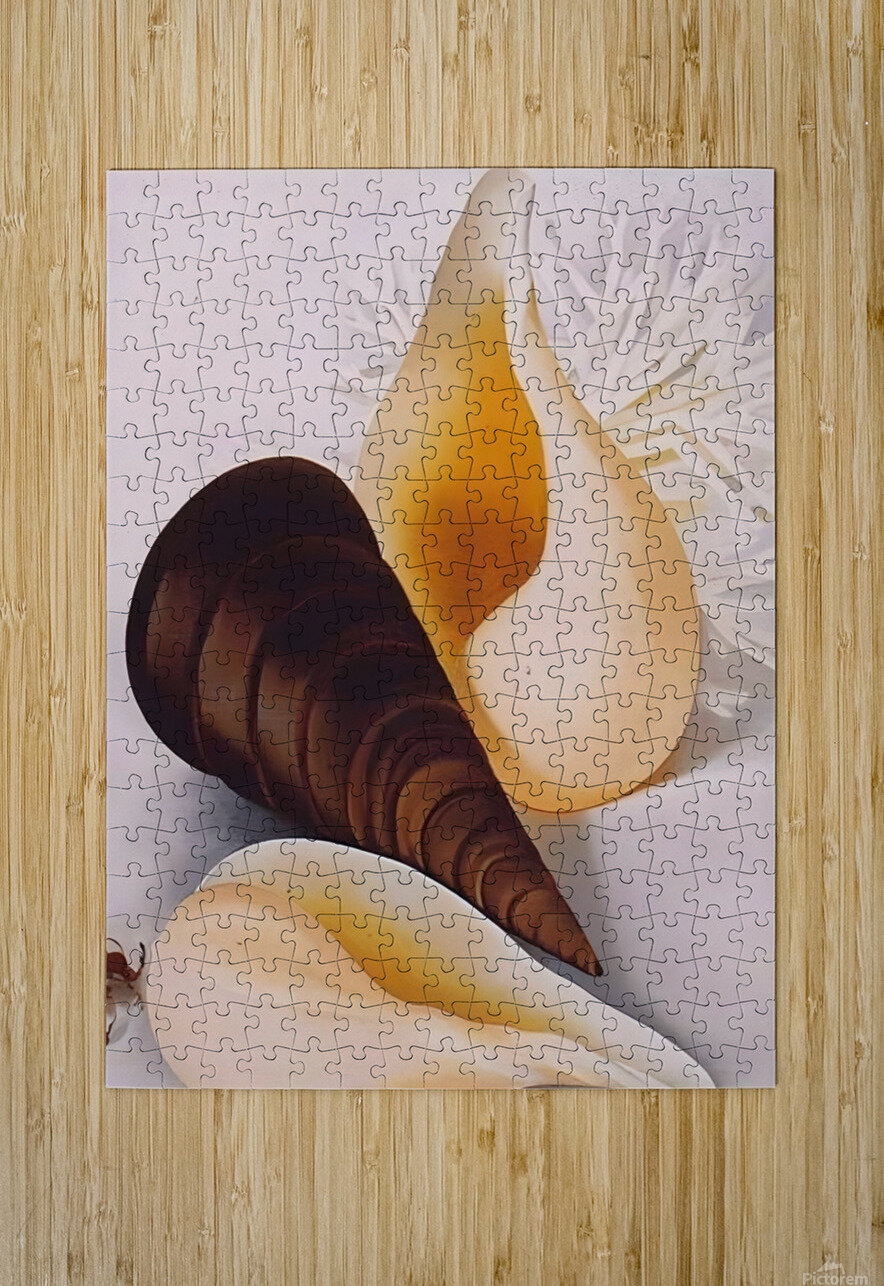 Georgia OKeeffe - Two White Shells One Black Shell William Store Puzzle printing
