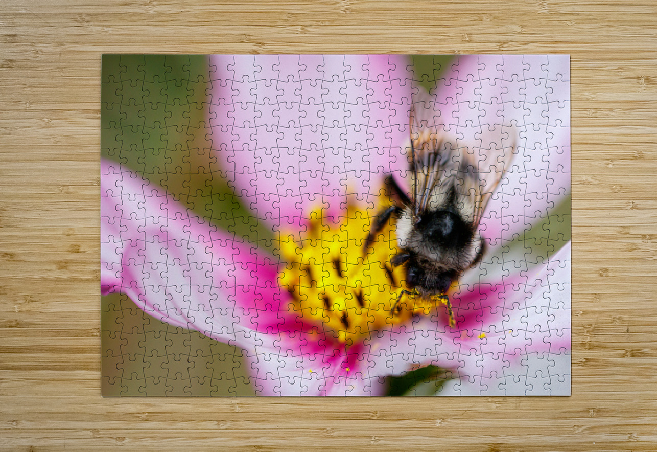 Harmony in Bloom Heather Marie Clark Puzzle printing