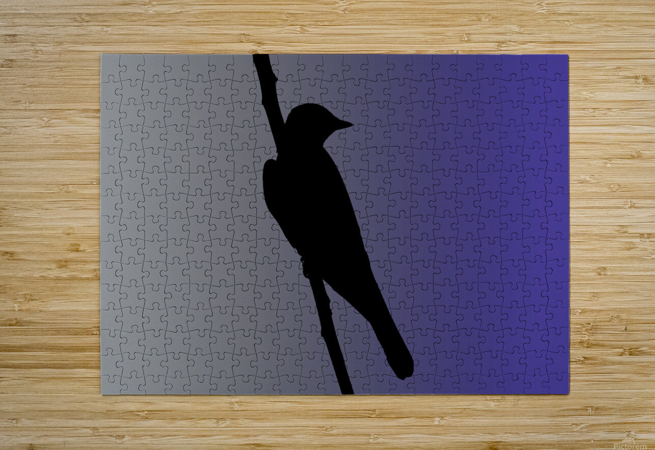 Mockingbird Silhouette on Steel Blue Photography and Digital Art By Colleen Puzzle printing