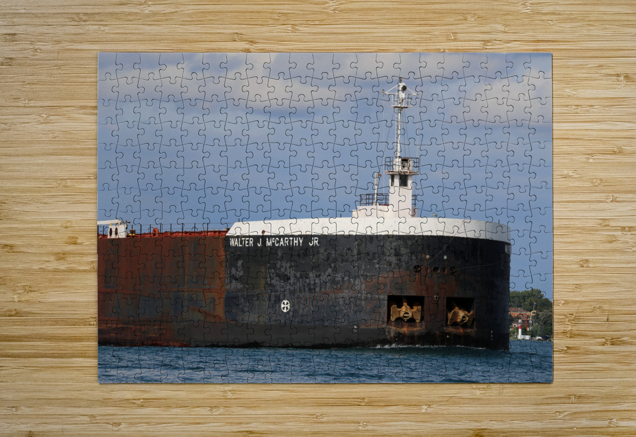 Walter J McCarthy Detail 2 091320 Mary Bedy Puzzle printing