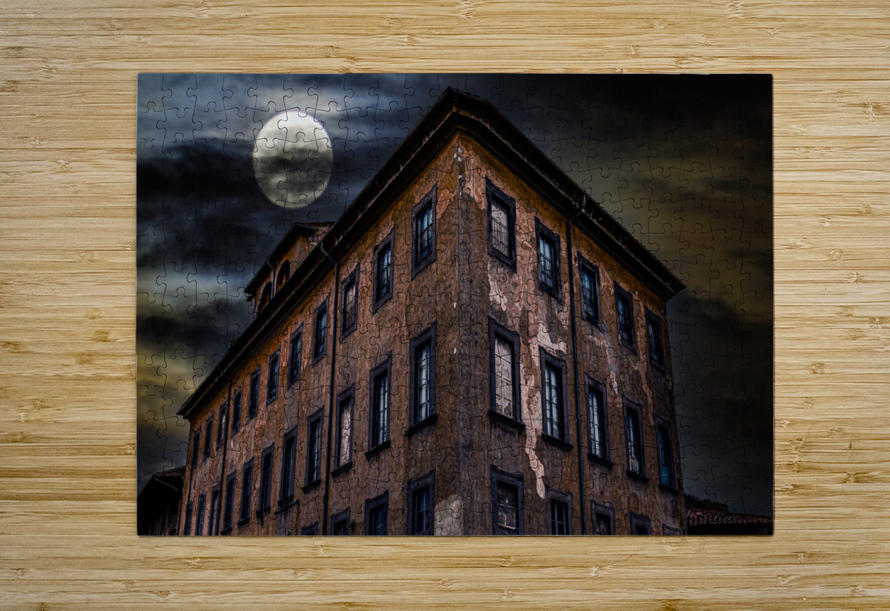 Old Building on Via St Maria in Pisa Darryl Brooks Puzzle printing