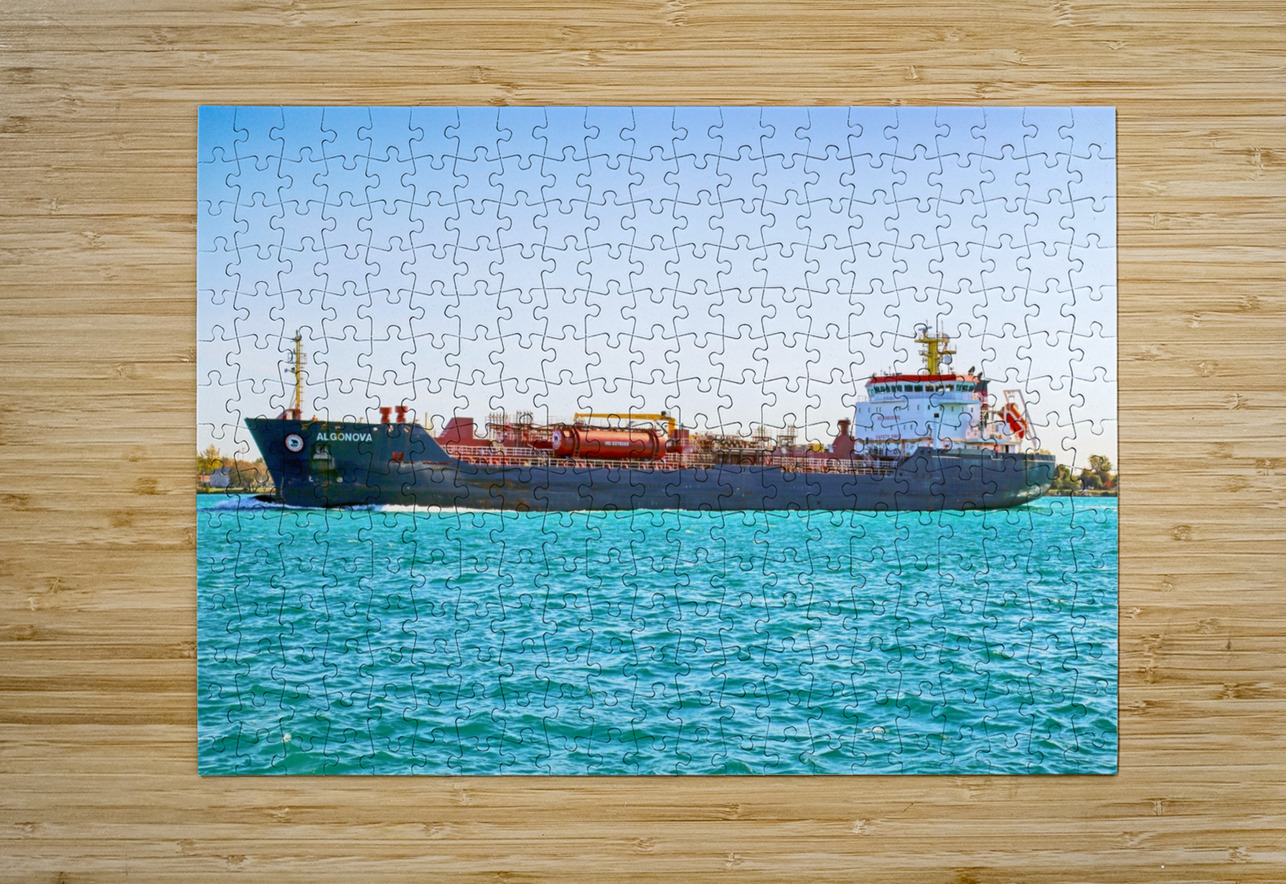 Algonova 1 Mary Bedy Puzzle printing