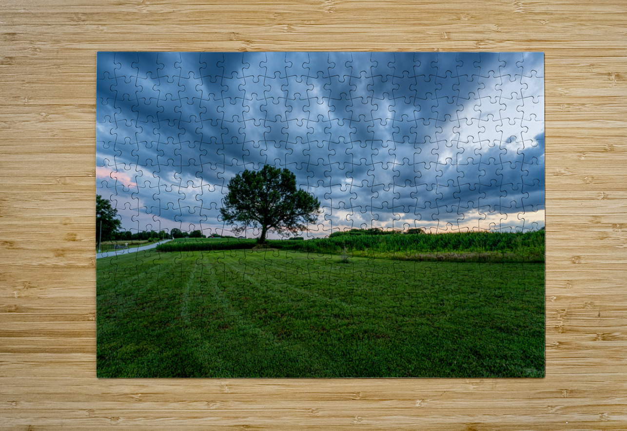 Country Road And Oak Tree Sunset Jennifer White Puzzle printing