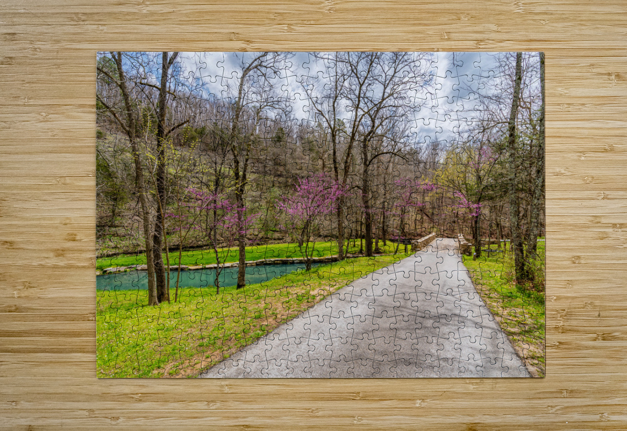 Walking Path On Spring Season Day Jennifer White Puzzle printing