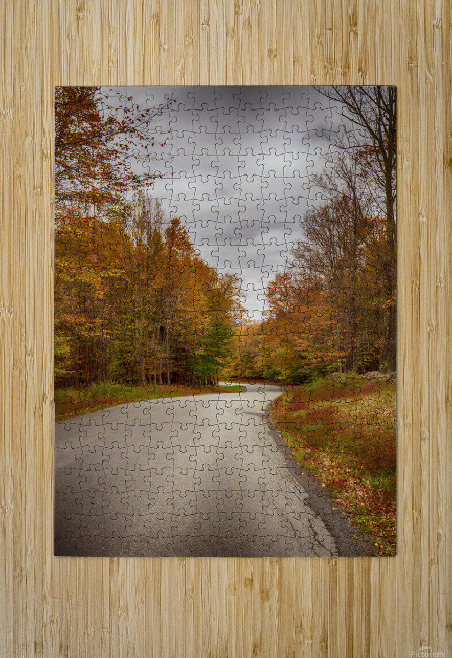 Tranquil Autumn Roads Sullivan County NY R Natale Photography Puzzle printing