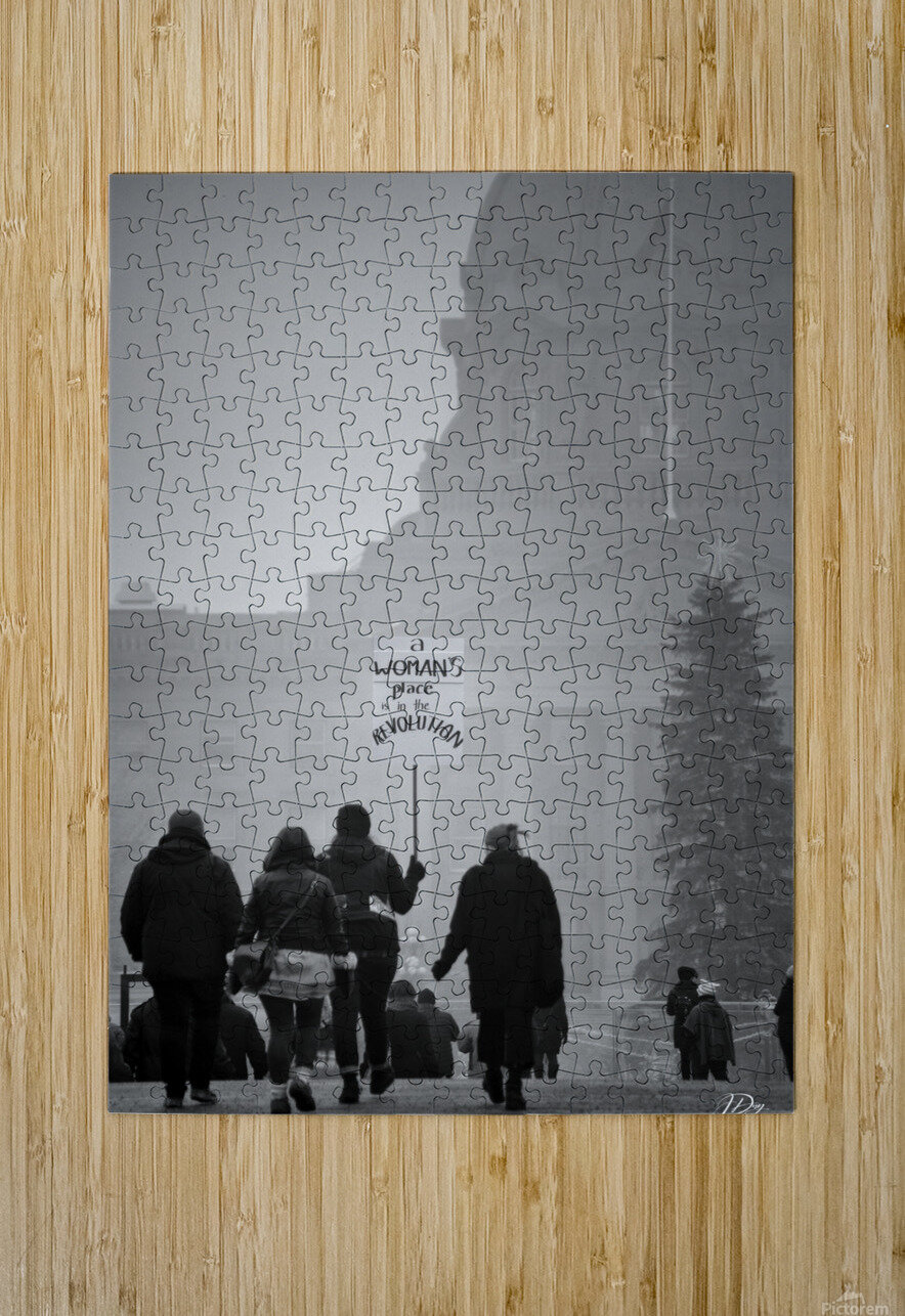 A Womans Place...is in The Revolution.  Jeff Day Puzzle printing