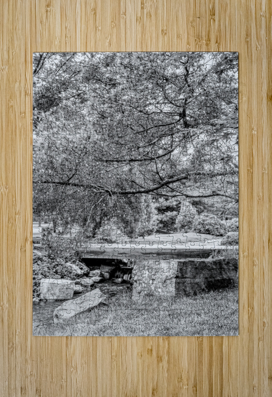 Spring Season Zen Garden Grayscale Jennifer White Puzzle printing