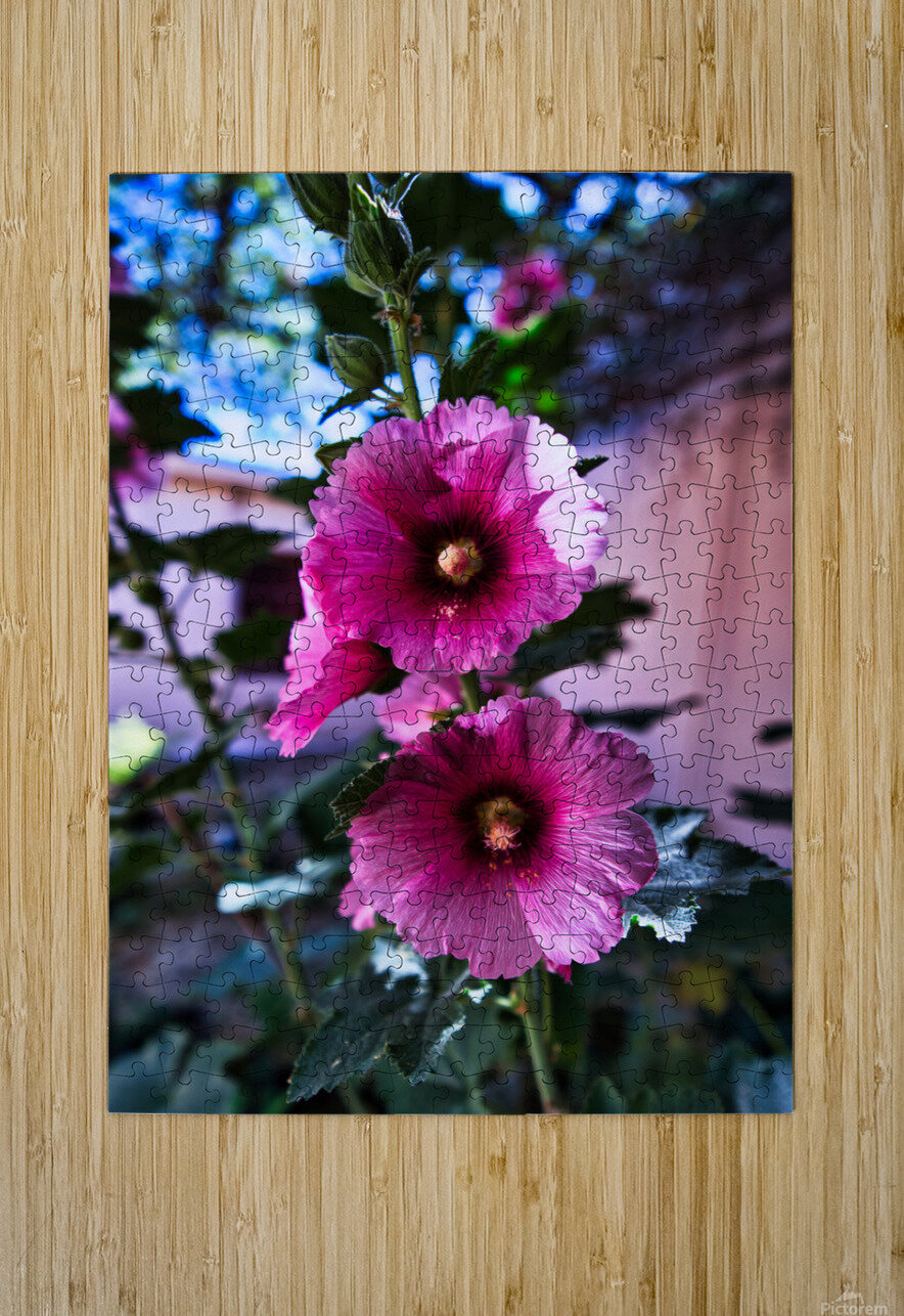 Wild Bloom in Tombstone AM Productions Puzzle printing