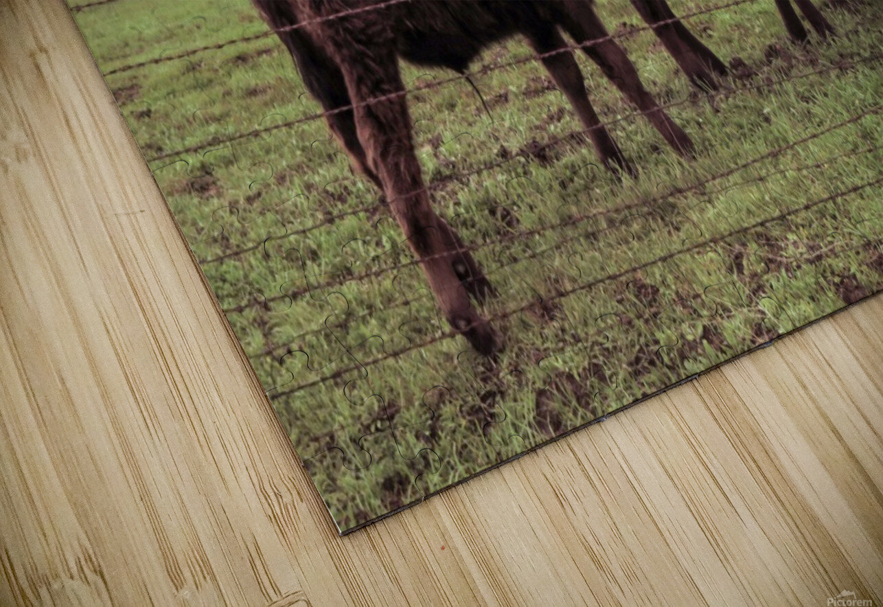 20190228 IMG_3567 2 Jodi Webber Puzzle