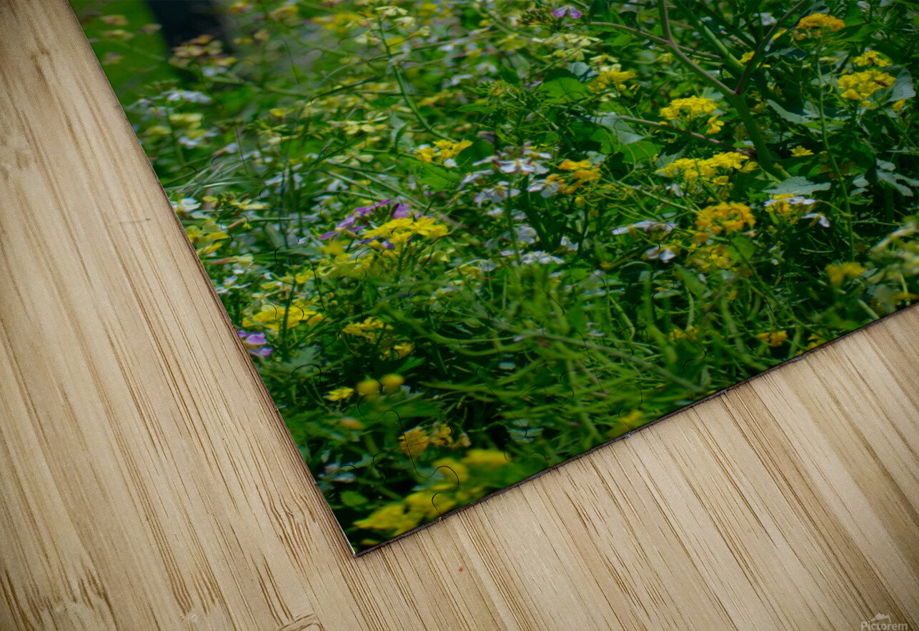 20190330 DSC_0592 Jodi Webber Puzzle