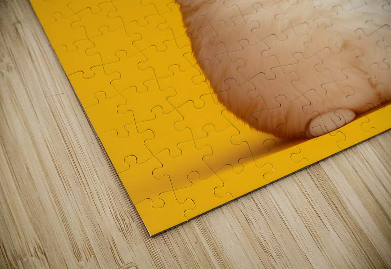 Tabbys Easter Ears: A Springtime Whimsy Anne Laure GOUPIL Puzzle