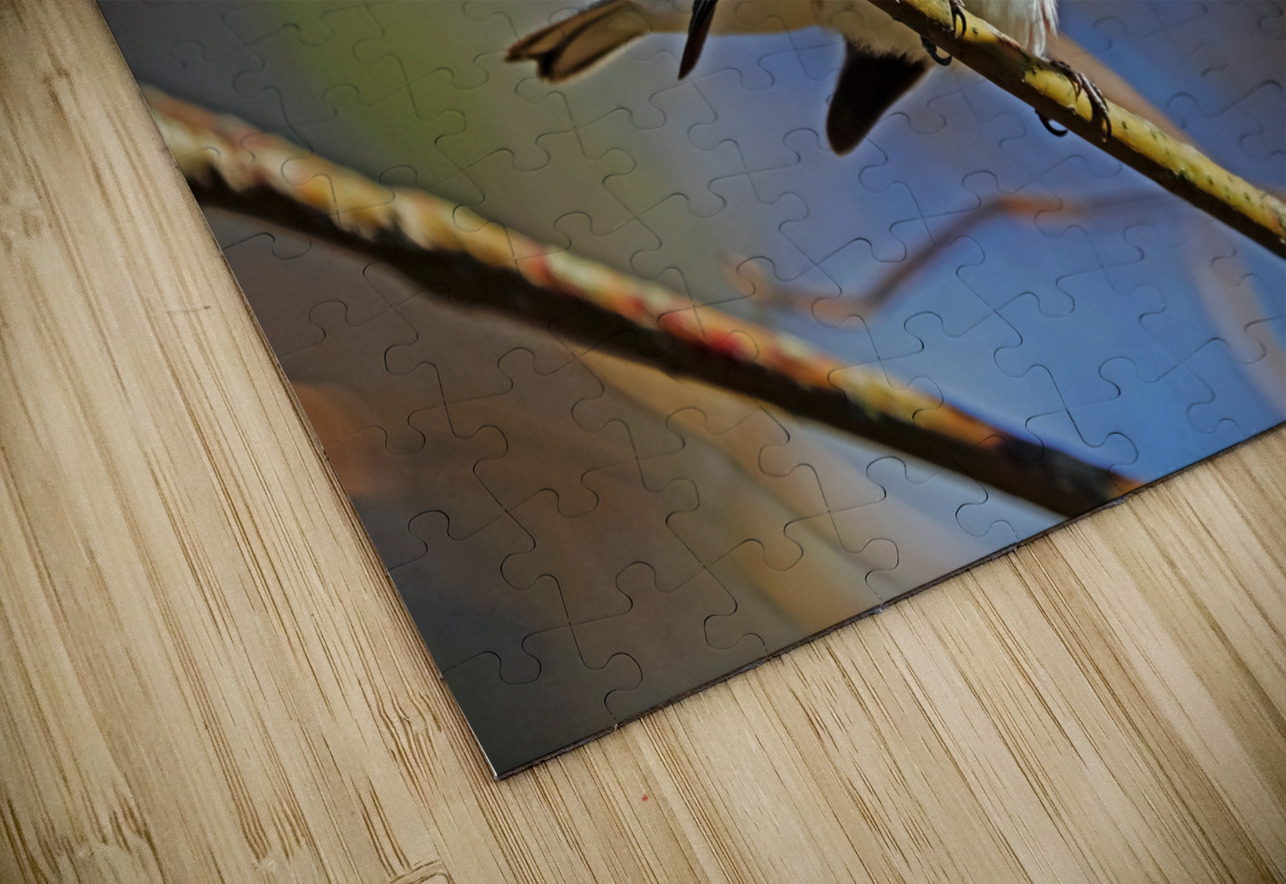 Chestnut Sided Warbler Highlighted In Morning Light Deb Oppermann Puzzle