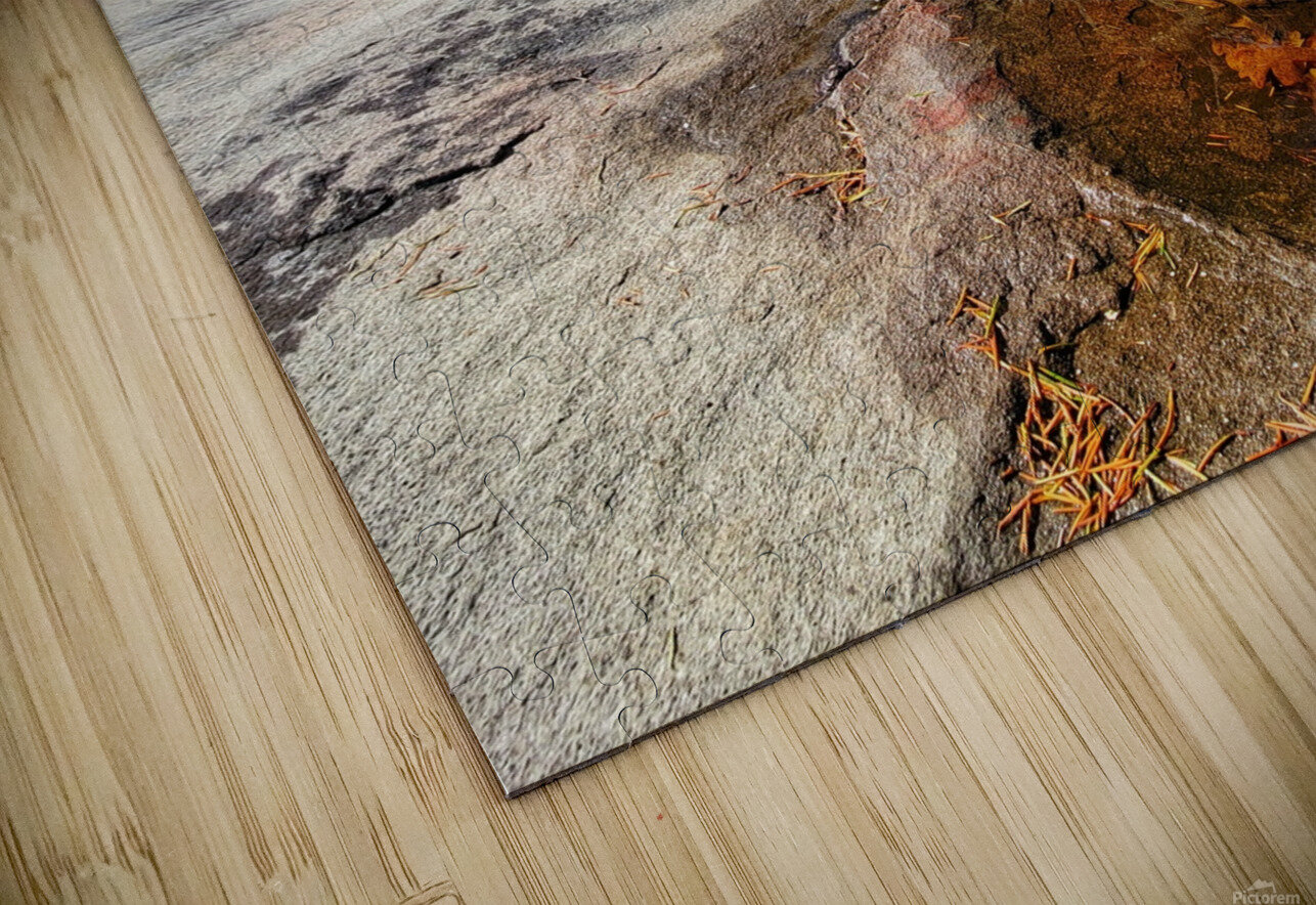 Ocean Leaves Adam Copp Puzzle