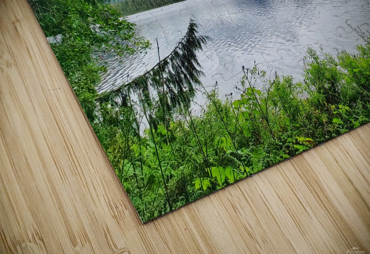Tree Framed Nature  Adam Copp Puzzle