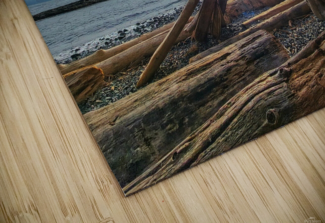 Driftwood  Adam Copp Puzzle