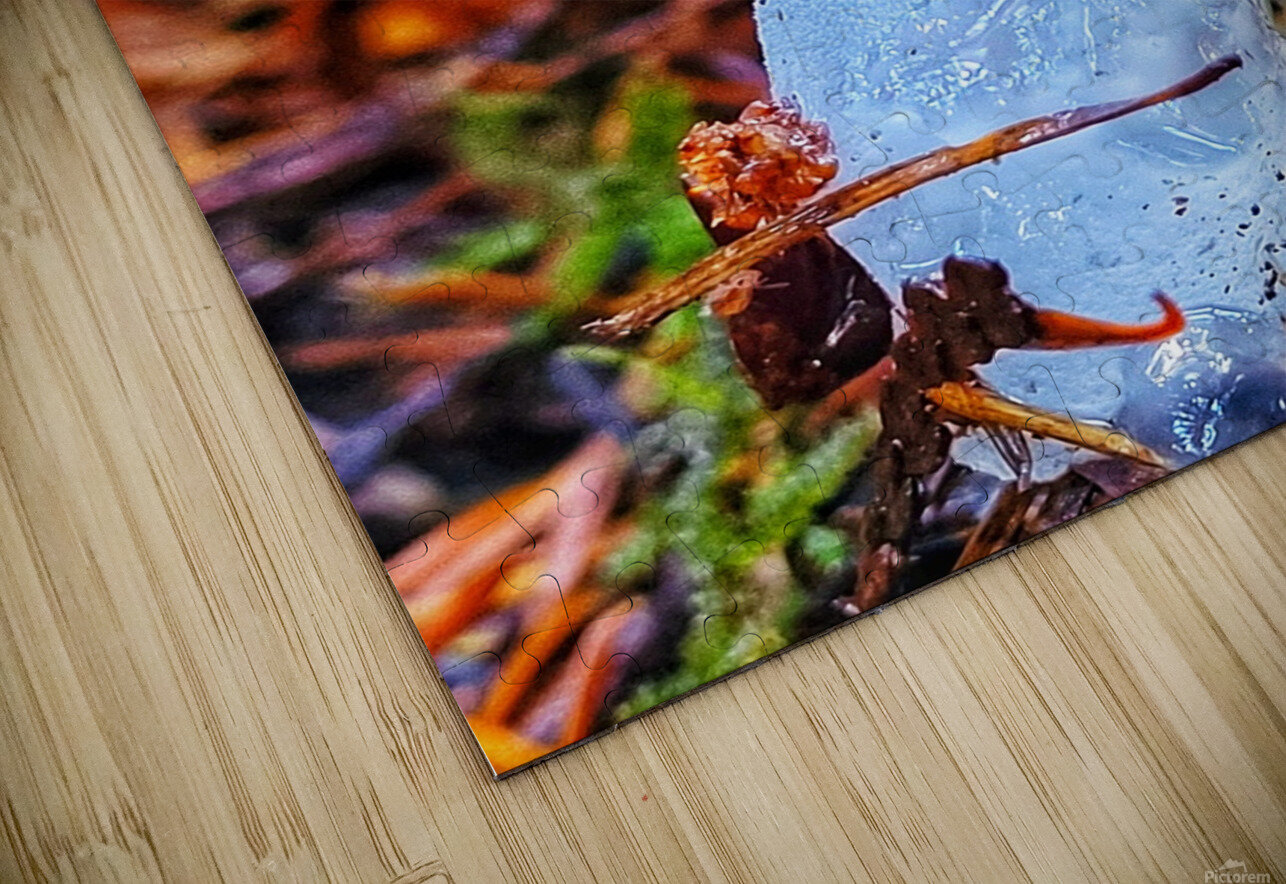 Forest Mushrooms Adam Copp Puzzle