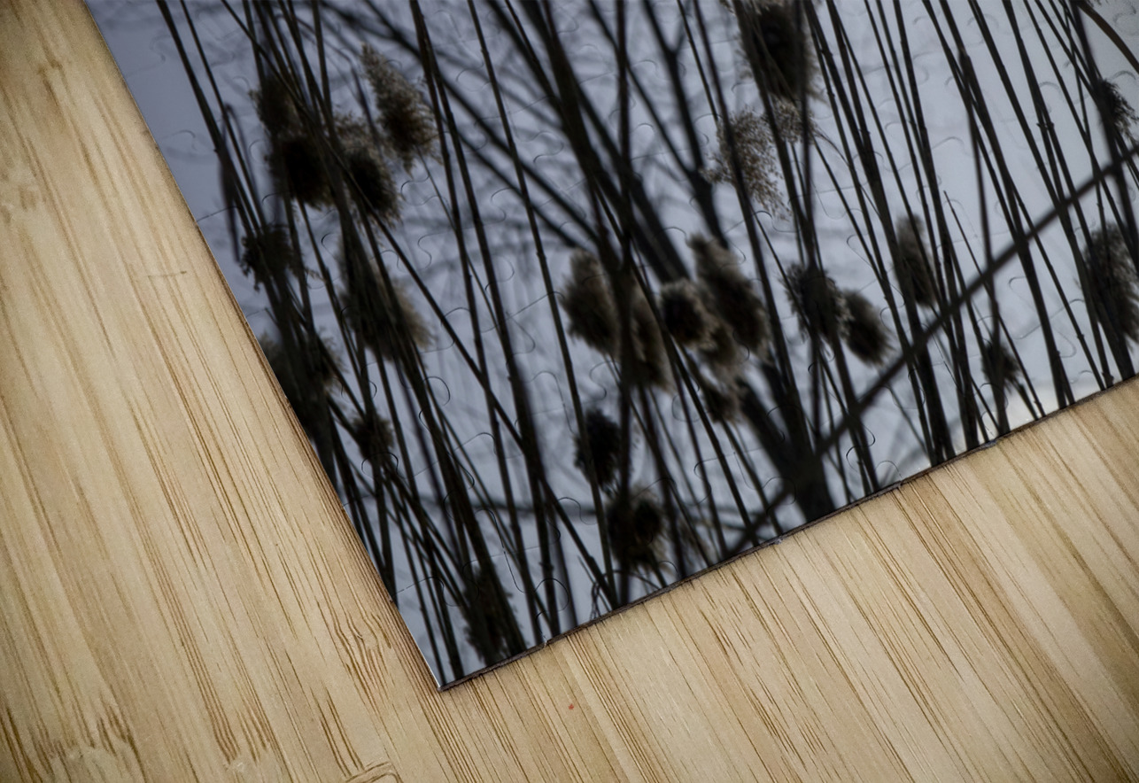 La Douceur Des Roseaux Sylvain Martin Puzzle