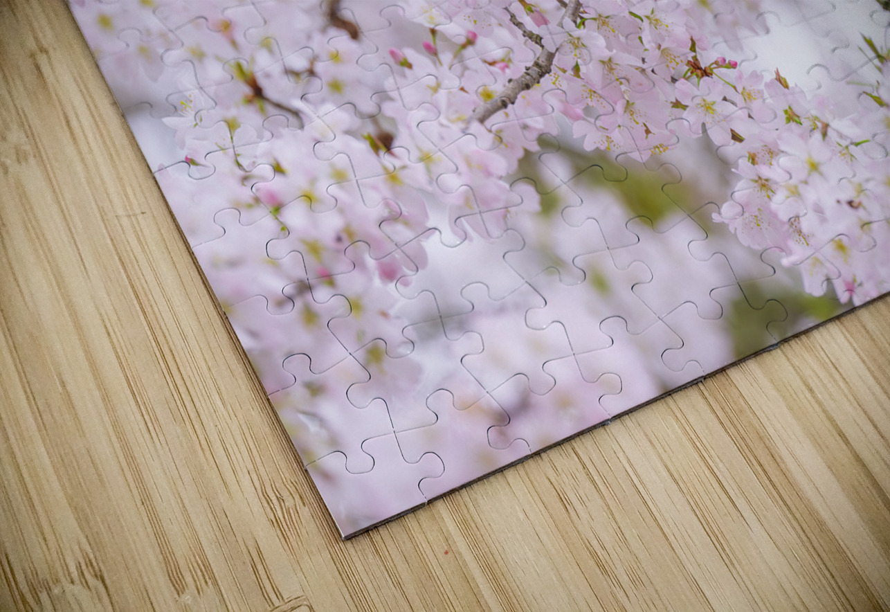 Blossom Bird Assaf Frank Puzzle
