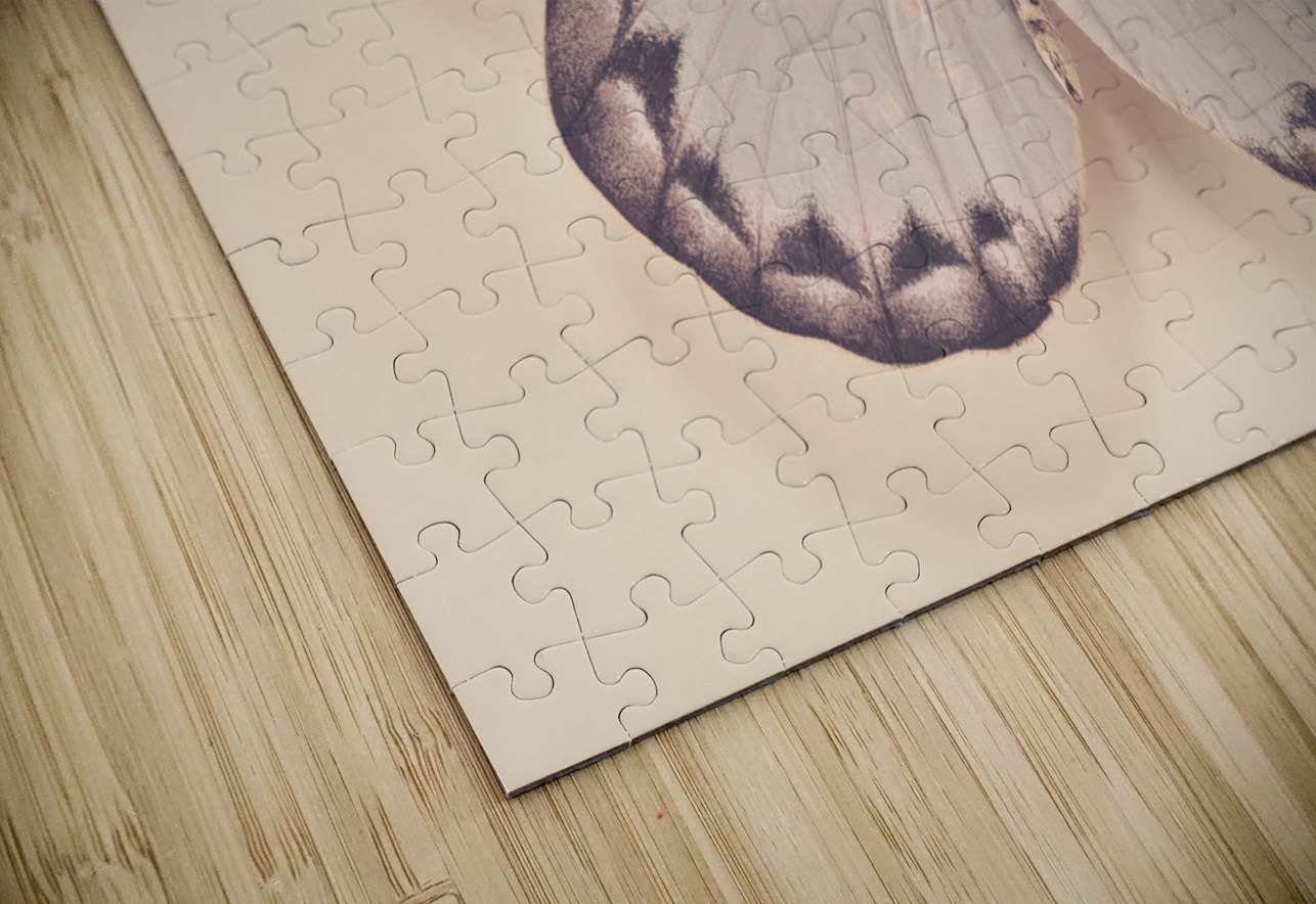 Butterfly Assaf Frank Puzzle