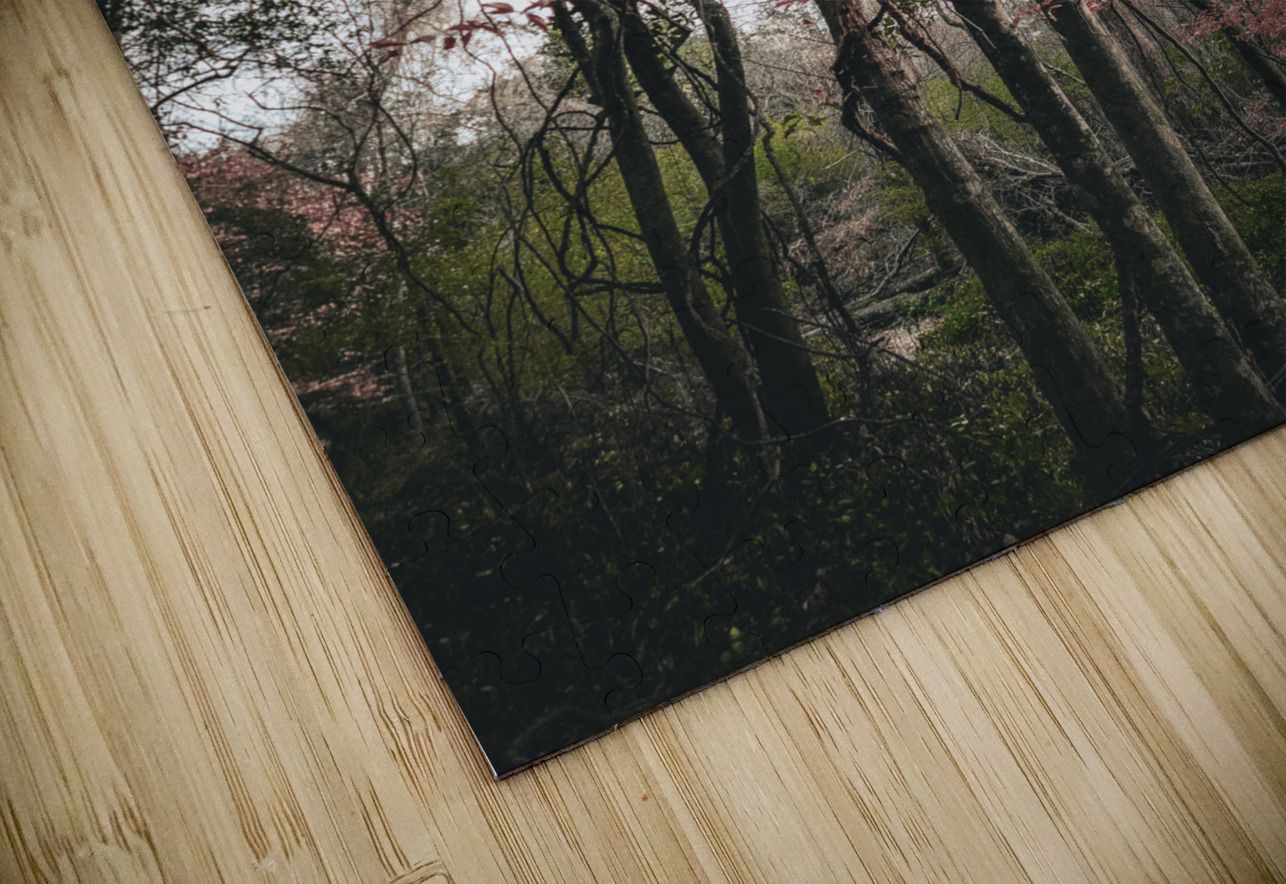 ©Charles Rain Photography Charles Rain Puzzle