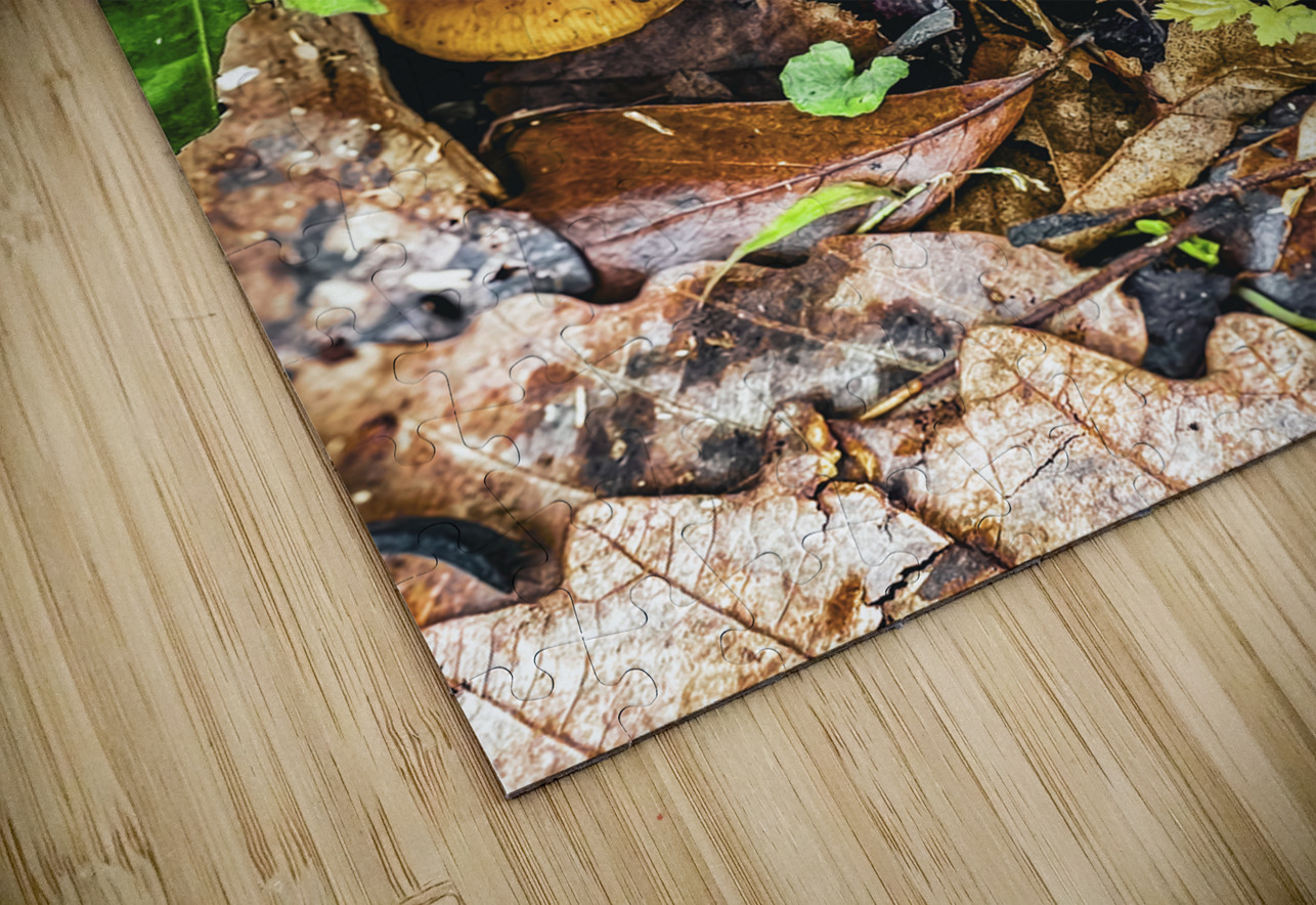 ©Charles Rain Photography Charles Rain Puzzle