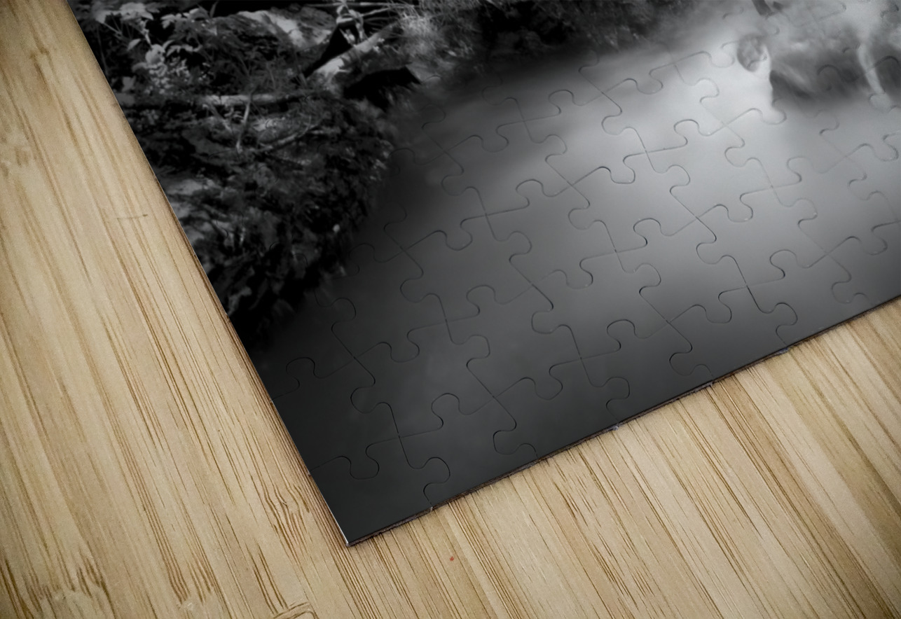 Newland Waterfalls in Grayscale Shelia Hunt Photography Puzzle