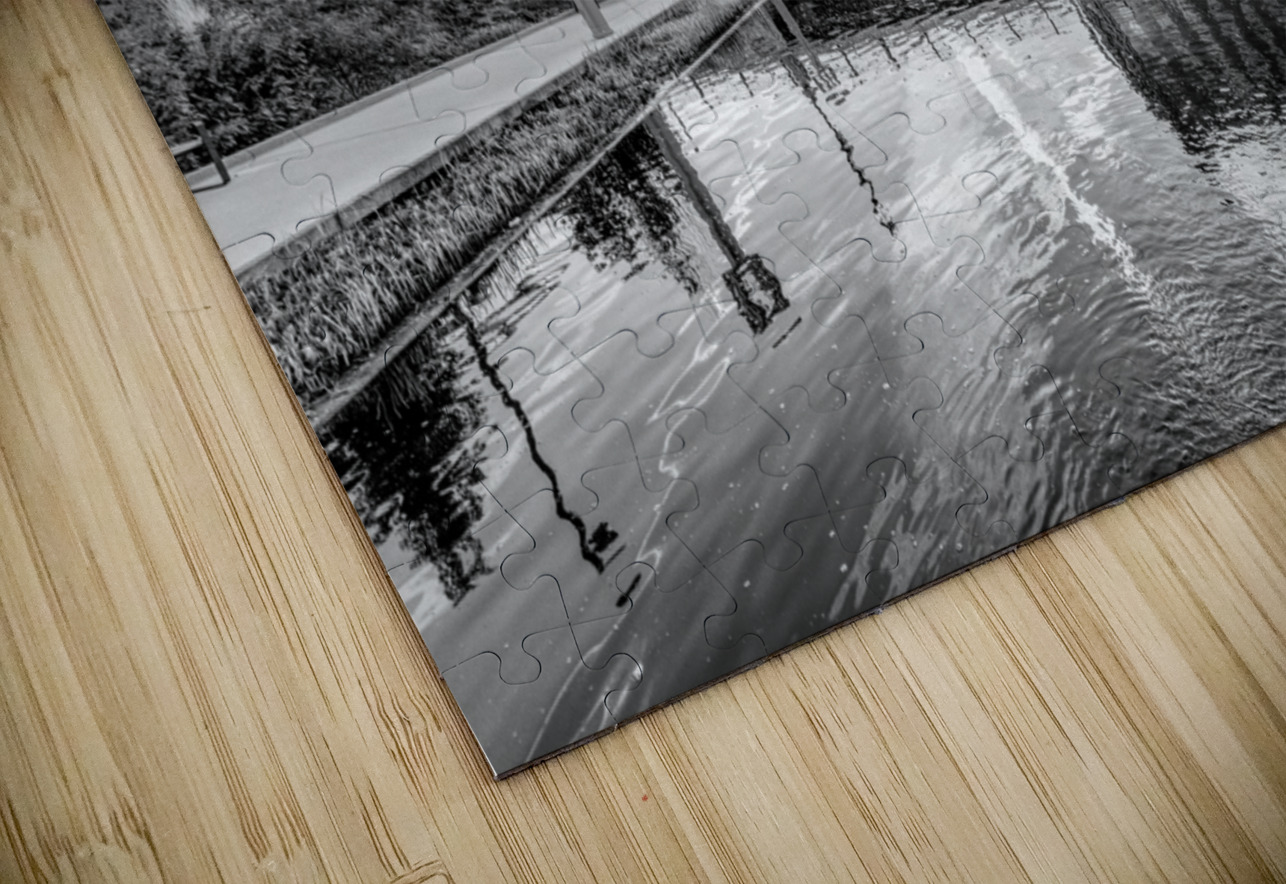 Gene Leahy Mall Lake Morning Grayscale Jennifer White Puzzle