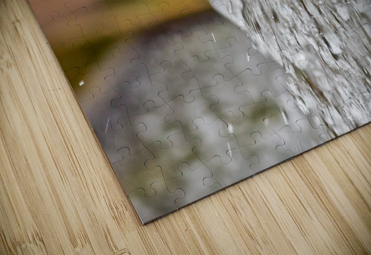 Fountain At the Botanical Garden Tony Lacroix Puzzle