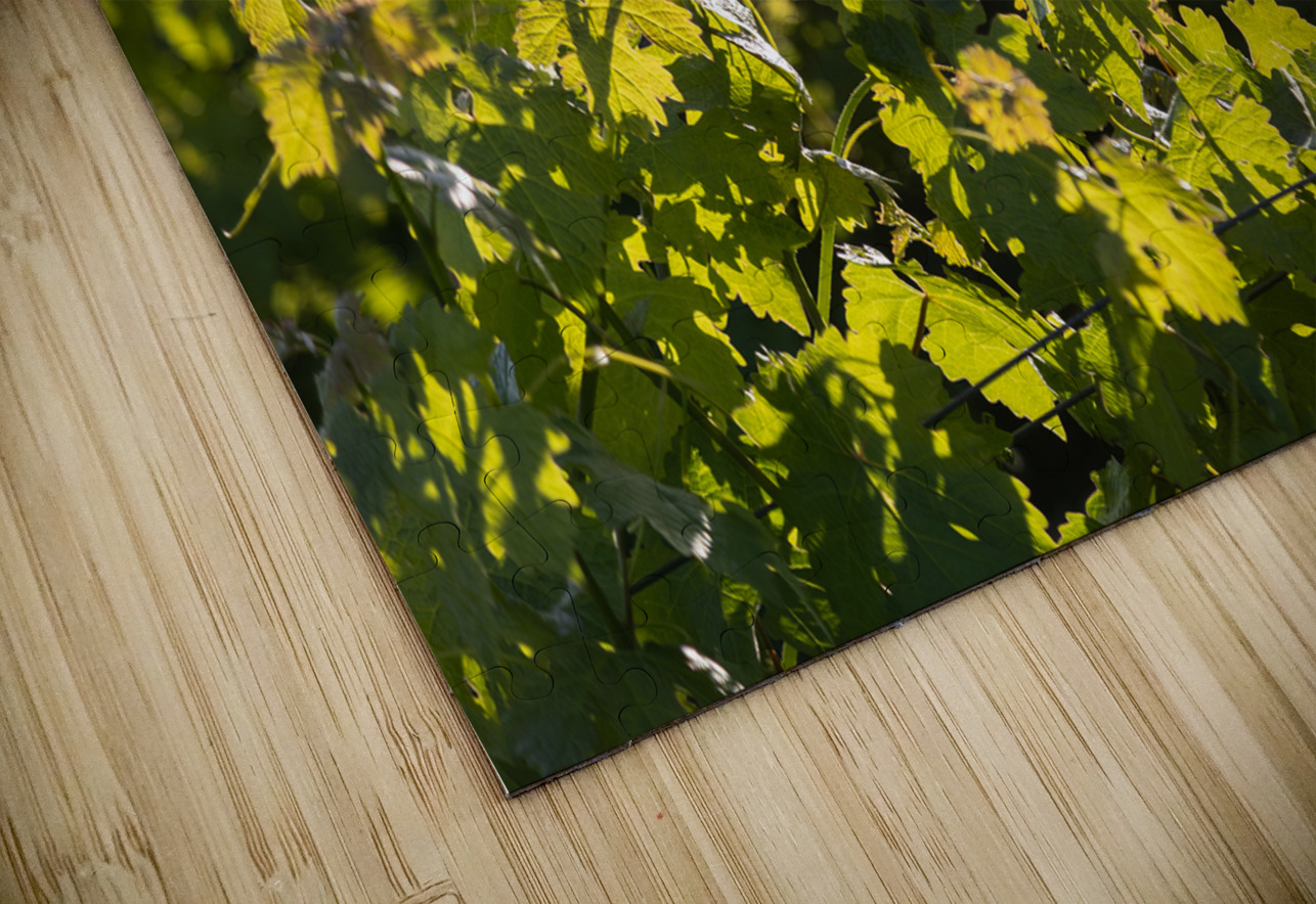 IMG 7686 YoelKoskasFineArt Puzzle