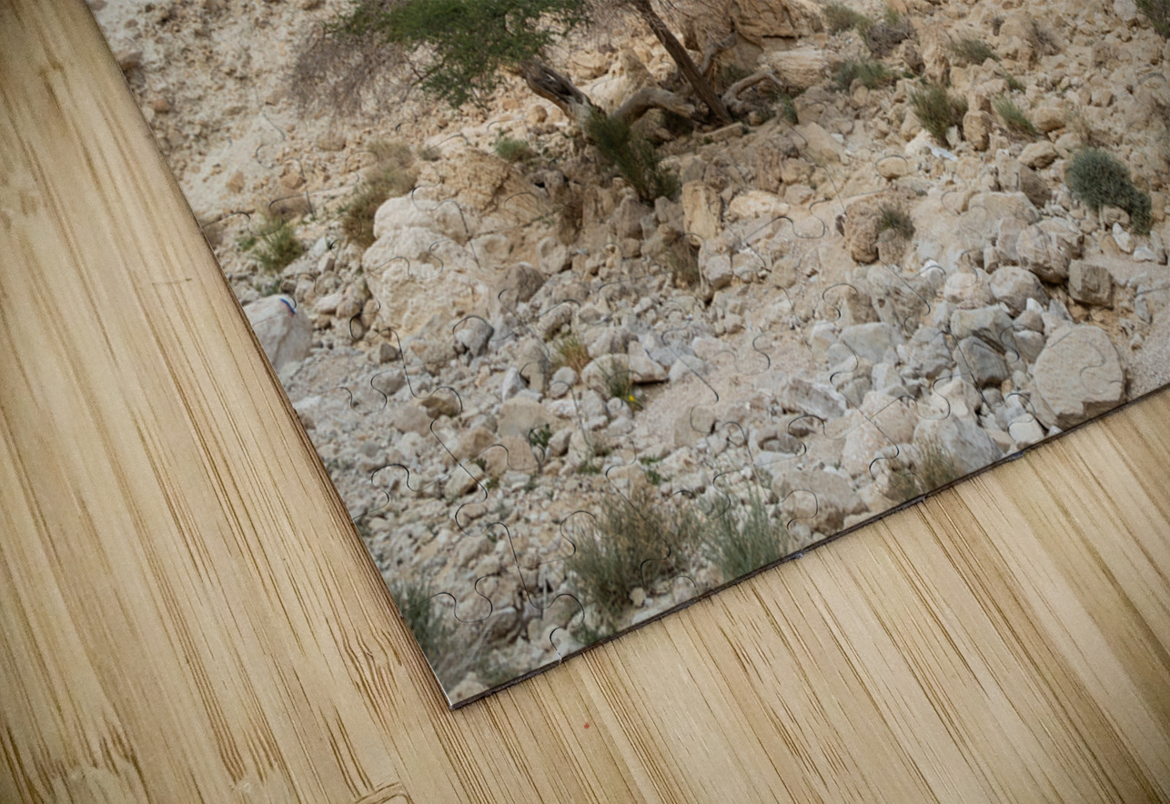 IMG 8189 YoelKoskasFineArt Puzzle