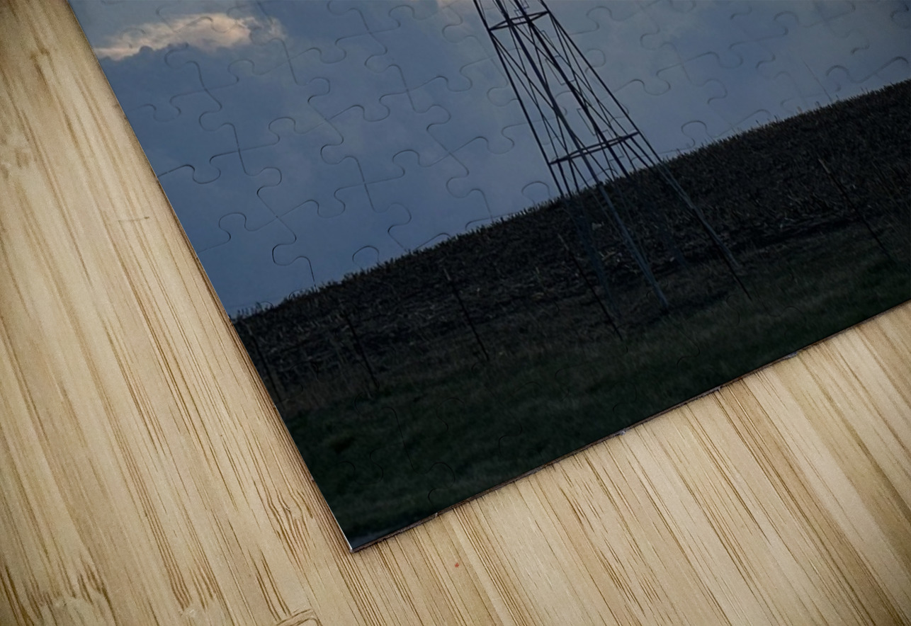 IMG 6235 MaryBeth Norsworthy Puzzle