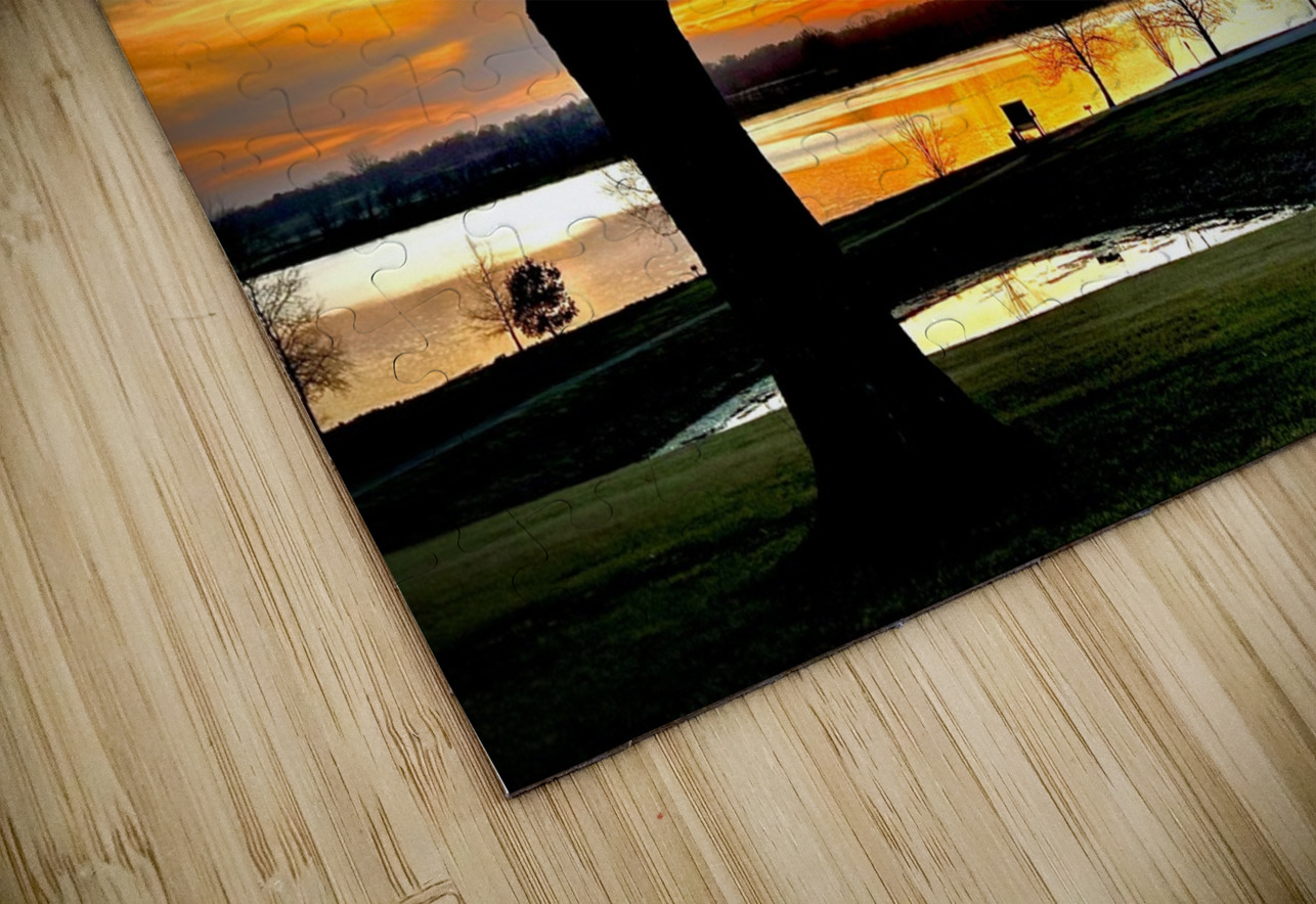 IMG 6009 MaryBeth Norsworthy Puzzle