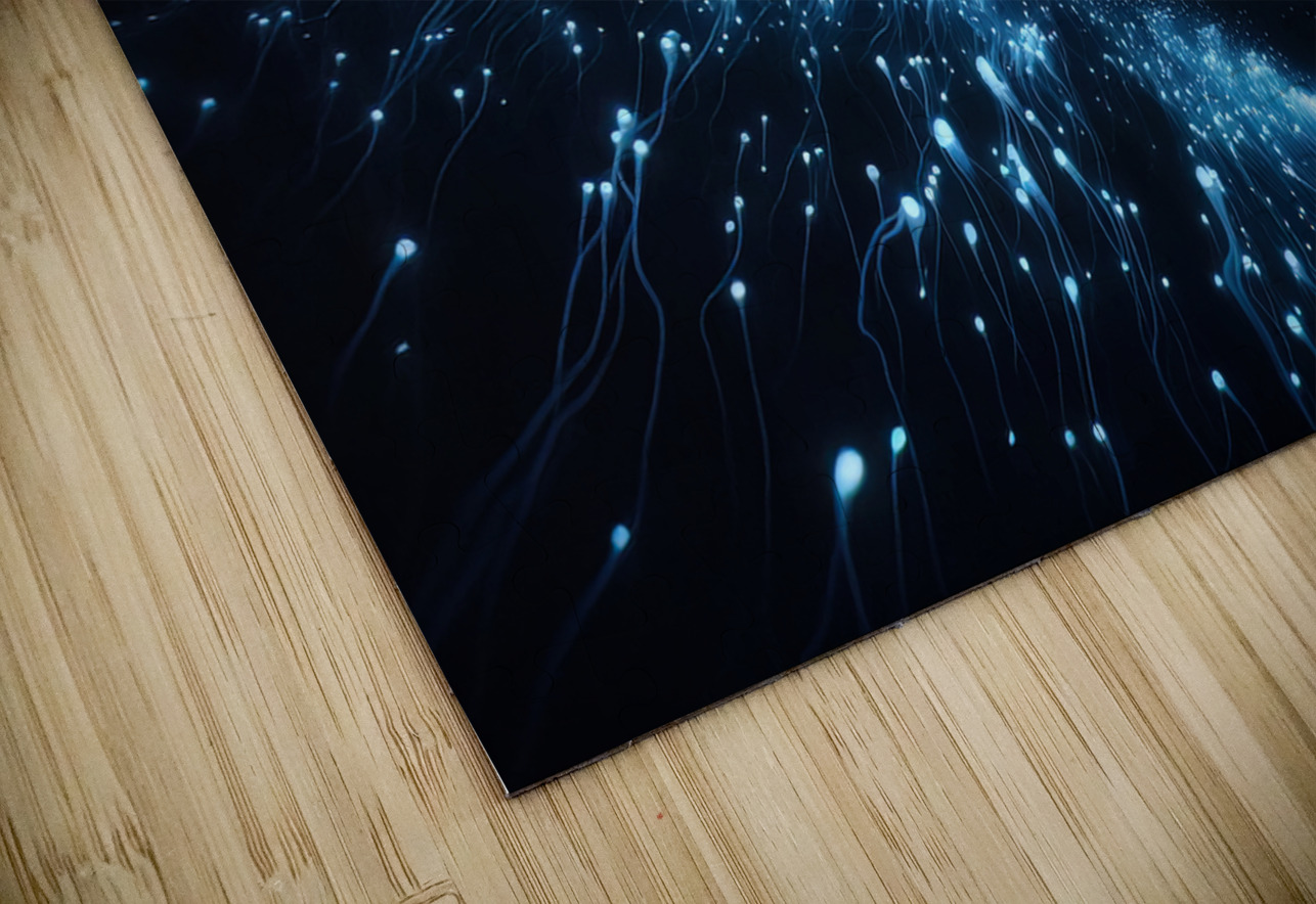 Luminous Journey - GIA2401-0194-REA JordiCarrio Puzzle