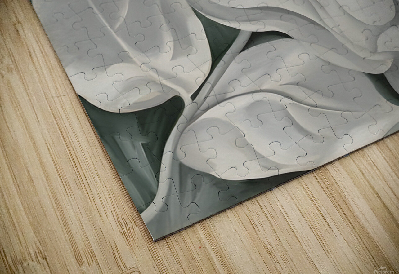 Georgia OKeeffe - The White Calico Flower .1931 William Store Puzzle