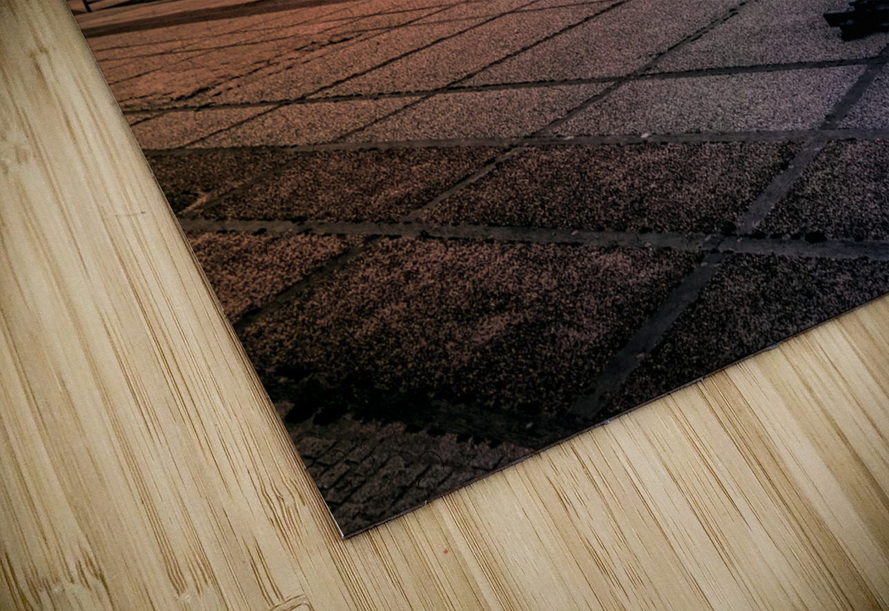 Seagull looking his Normandy Cliffs at Sunset Norma Brandsberg Photography Puzzle