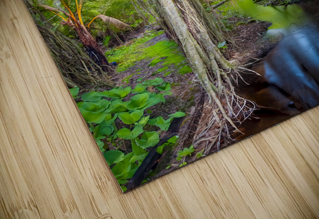 A Day at Banyan Creek Visual Voyages Fine Art Puzzle