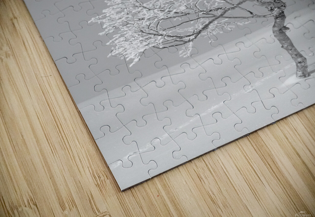 Lonesome Trail Alex Fukuda Puzzle