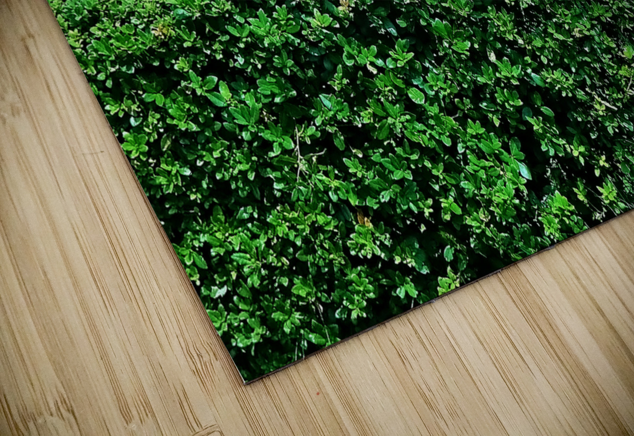 Japan-NP - Awaji Hanasajiki Bridge 02 Clement Tsang Puzzle