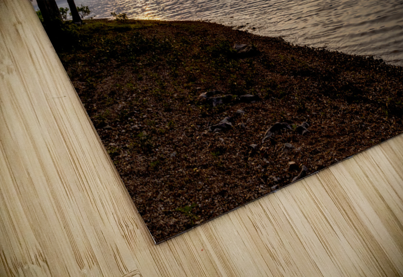 Tree Stump Snap By The Shoreline Jennifer White Puzzle