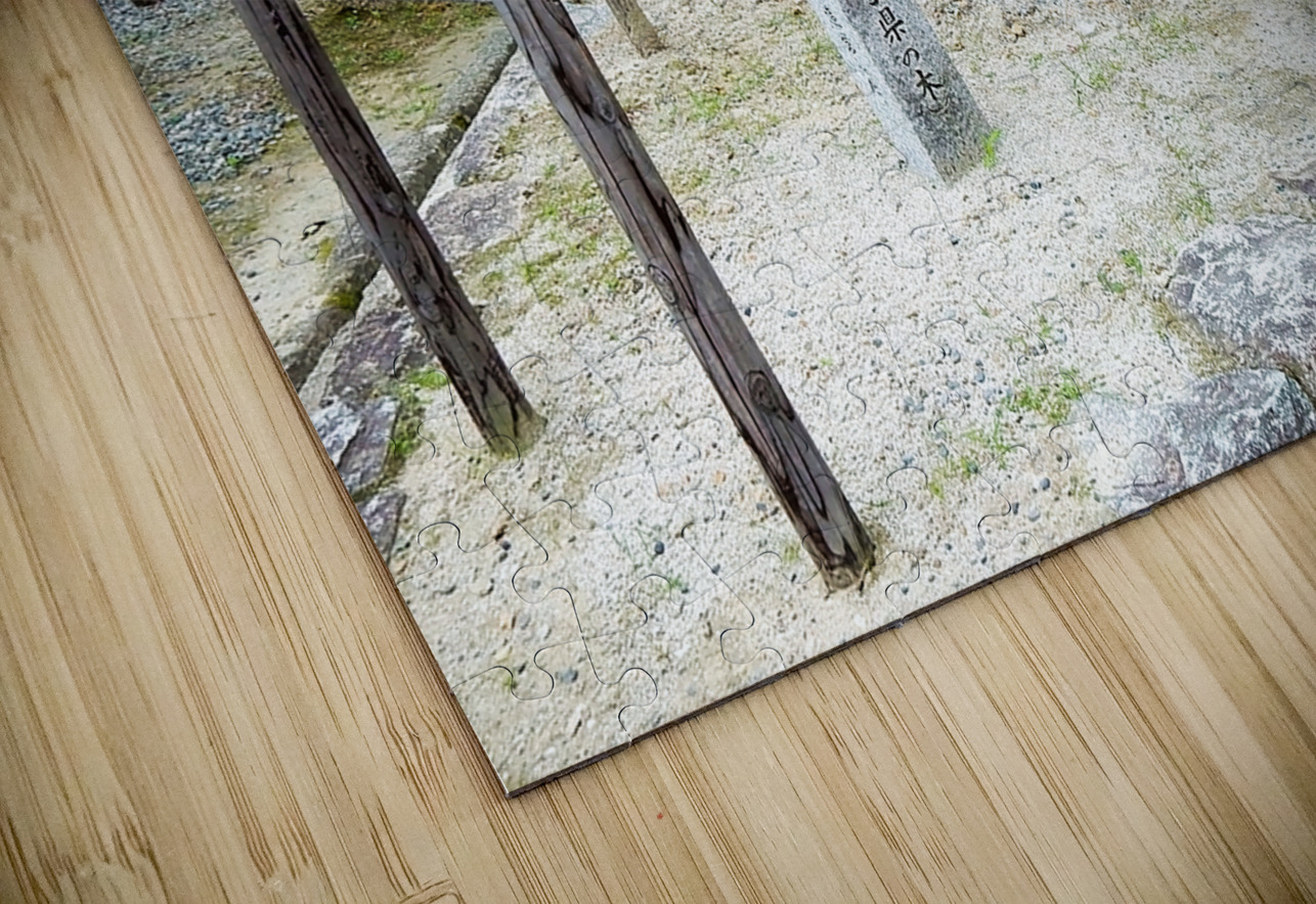 Japan-AB - Special Sign on the way Clement Tsang Puzzle