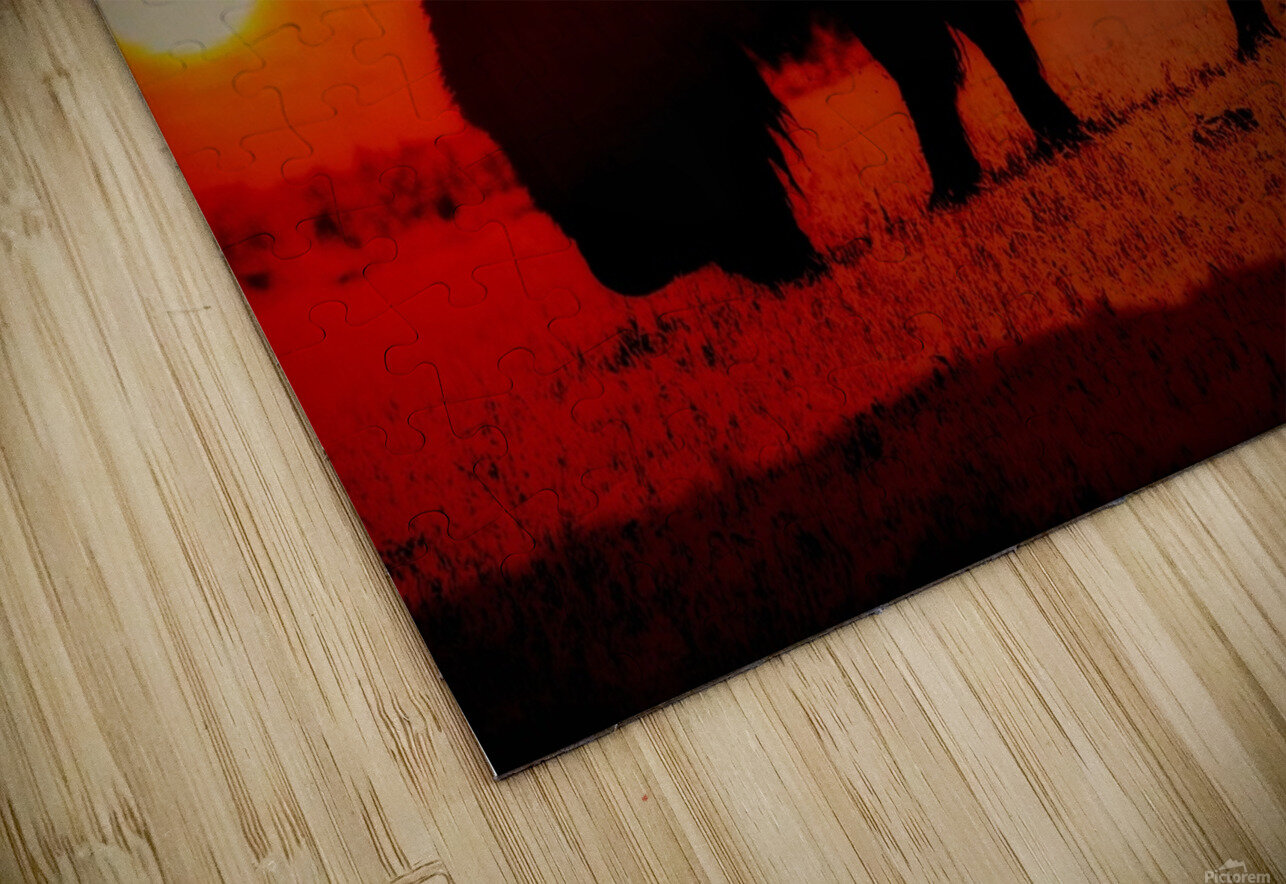 Orange Bison Sunset Sunset Chasin Adventure Photography Puzzle