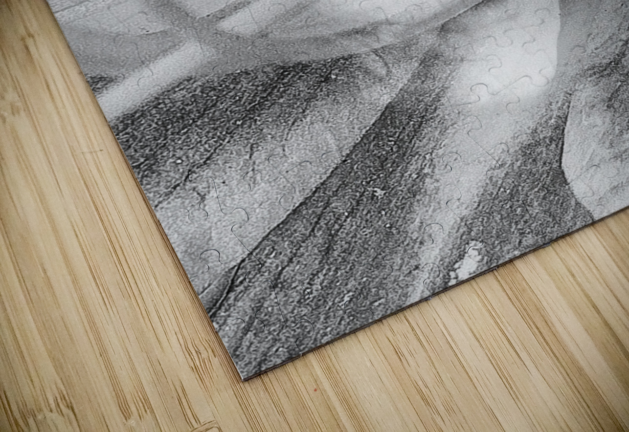 V1062 Natalie Stanislavsky Puzzle