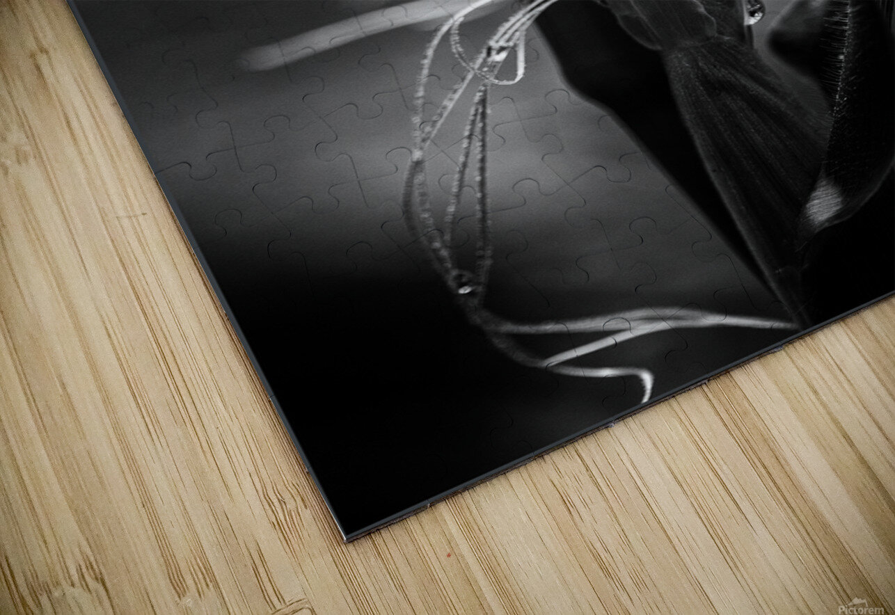 Corn Silk Summer R Natale Photography Puzzle